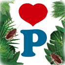 dschungel.png.6bfb90fbb14e0296c2d108982e