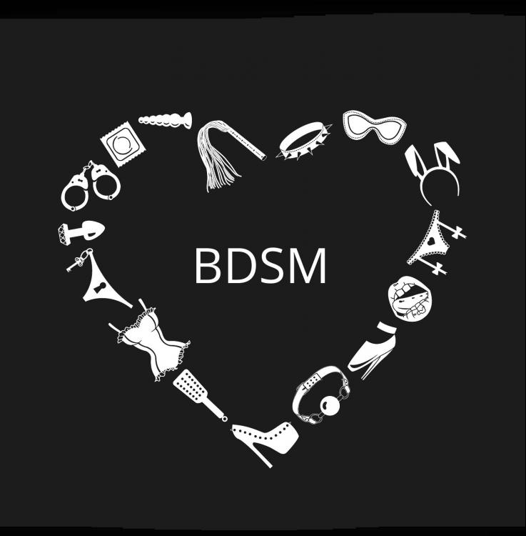 bdsm_logo.jpg