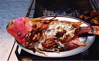 57af4e960e304_1203Mahe-Alamanda-Fischauf