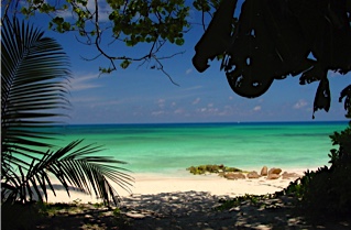 57b87347f2afa_0105Praslin-AnseKerlan-AmI