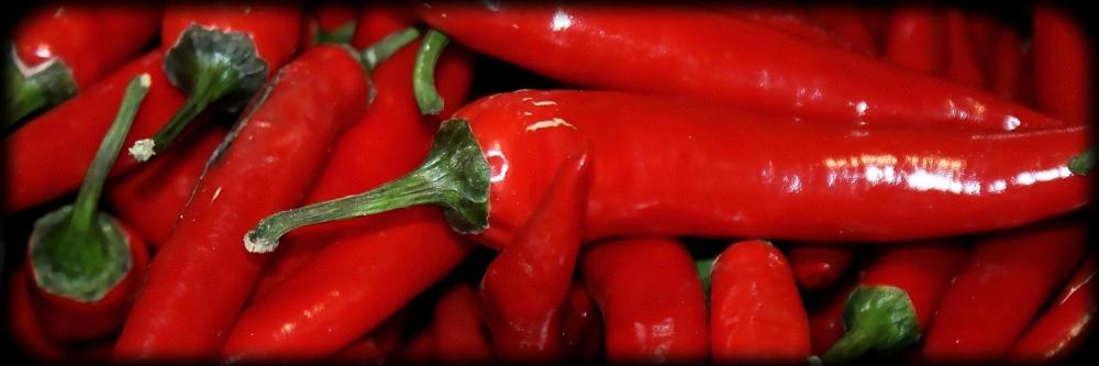 chilli header3 Kopie.jpg