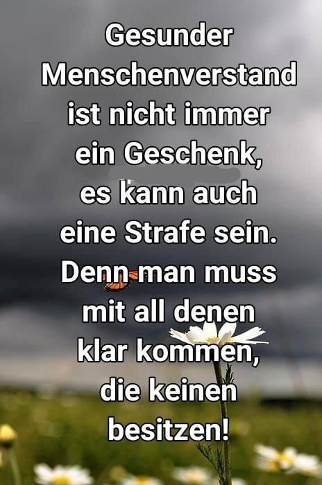 1207555663_GesunderMenschenverstand.jpg.b6658a5f22ae0d2f71ad2b981a9d08d3.jpg