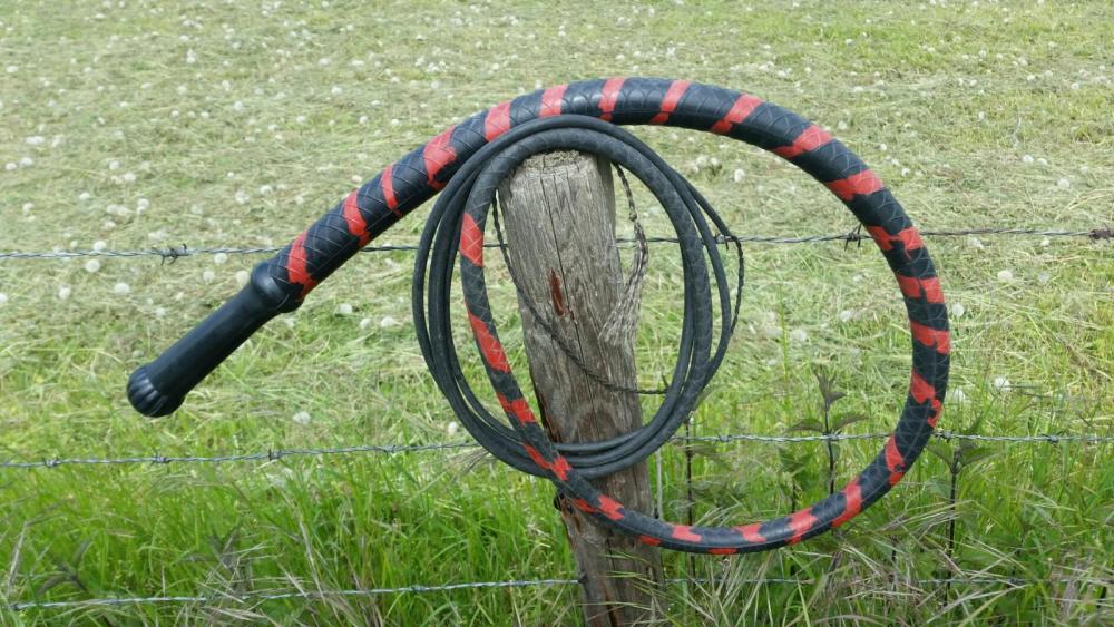 2019-05-16 16.37.11.jpg