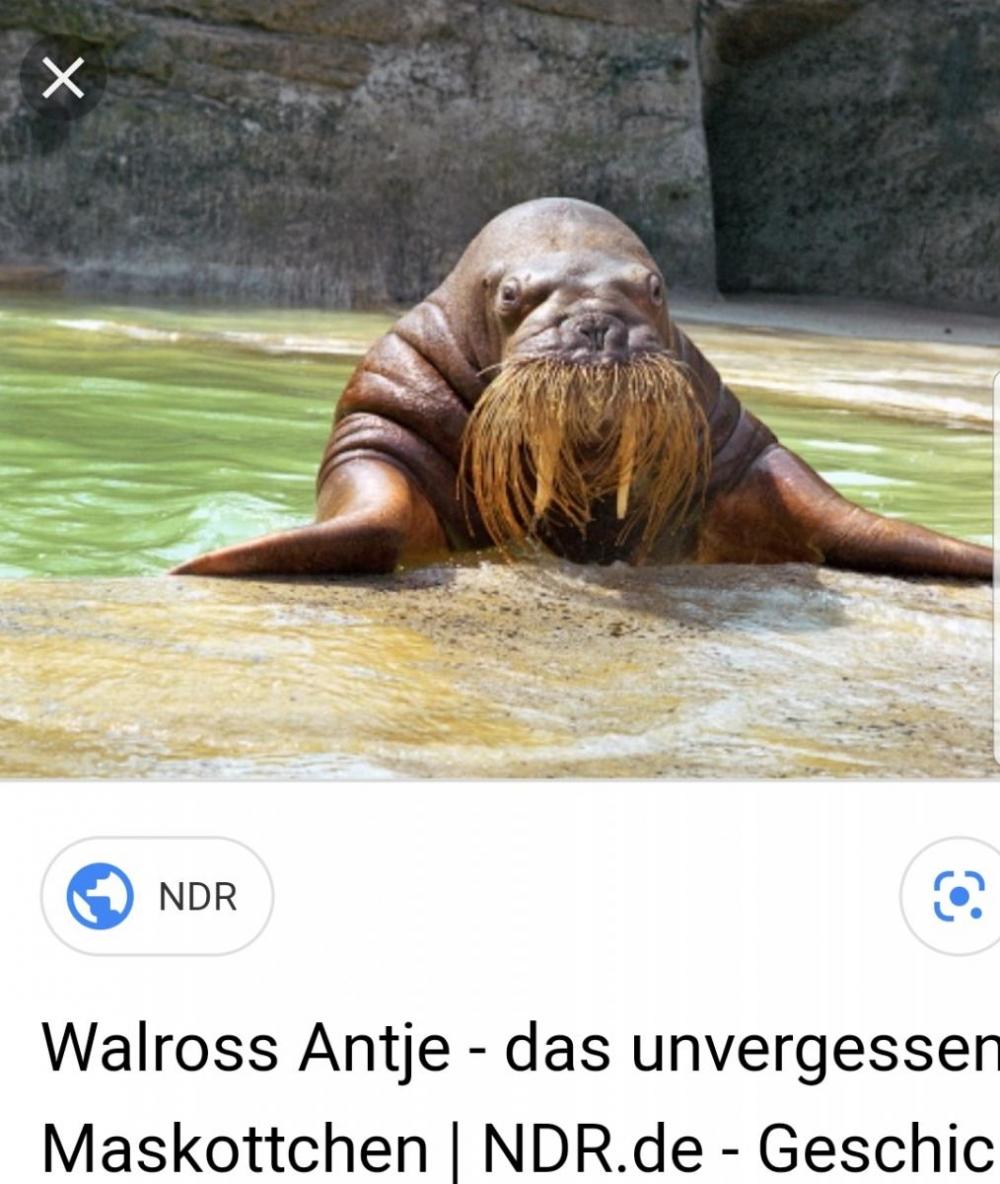 Screenshot_20190820-213457_Samsung Internet.jpg