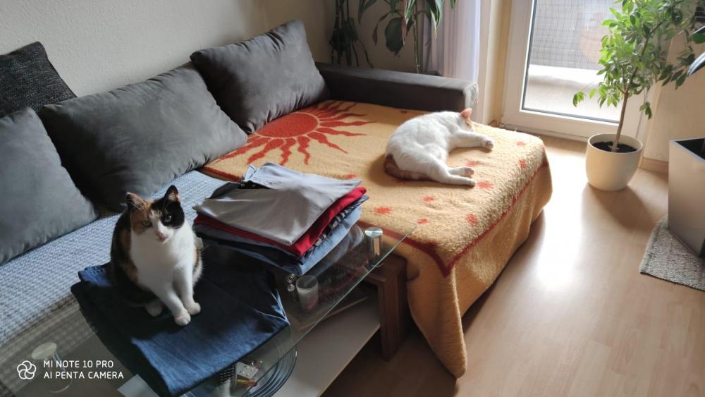 WhatsApp Image 2020-06-11 at 17.34.16.jpeg