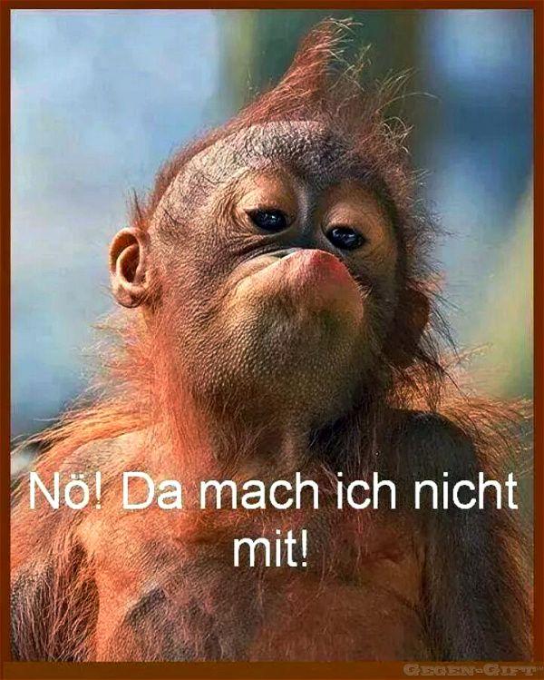 Da_mach_ich_nicht_mit.jpg.cbde39fae3a106b034644af39f9df751.jpg