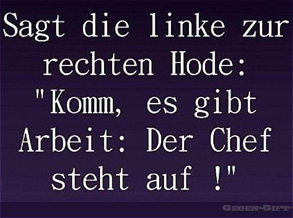 Es_gibt_Arbeit.jpg.5d2e02a2c76619a9b924062713d63b7a.jpg