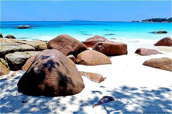 Praslin_2022.jpg.6dc5ad944af8b7ca87b394e64b65e919.jpg
