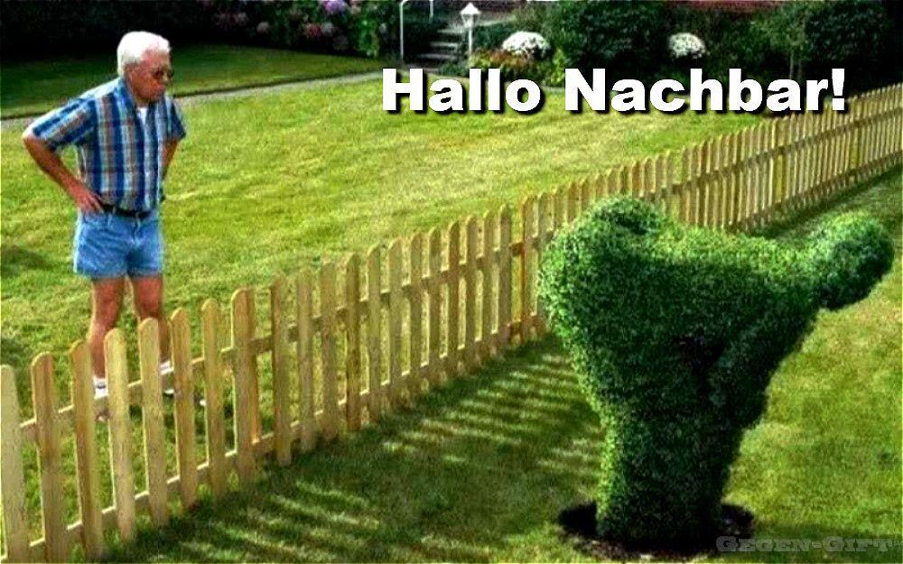 1086869671_HalloNachbar.jpg.f7b90fc88d30a1d694e55f92c063f7c5.jpg