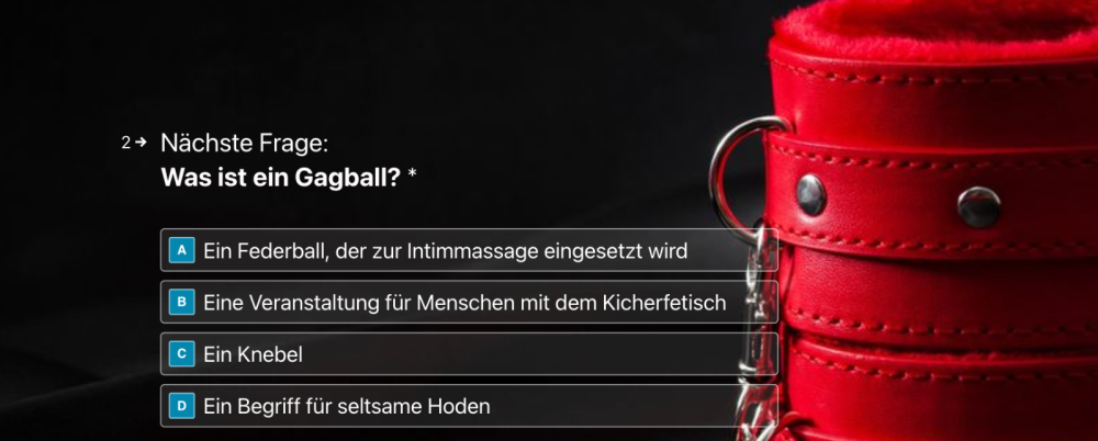 BDSM-Quiz-Frage-02.png