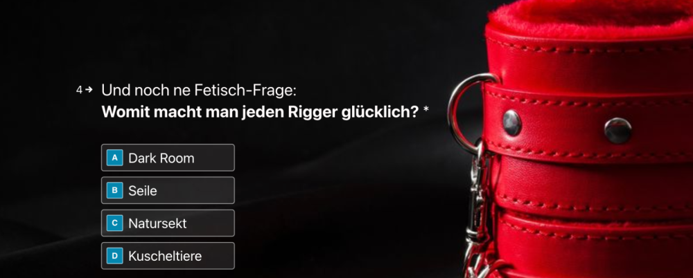 BDSM-Quiz-Frage-04.png