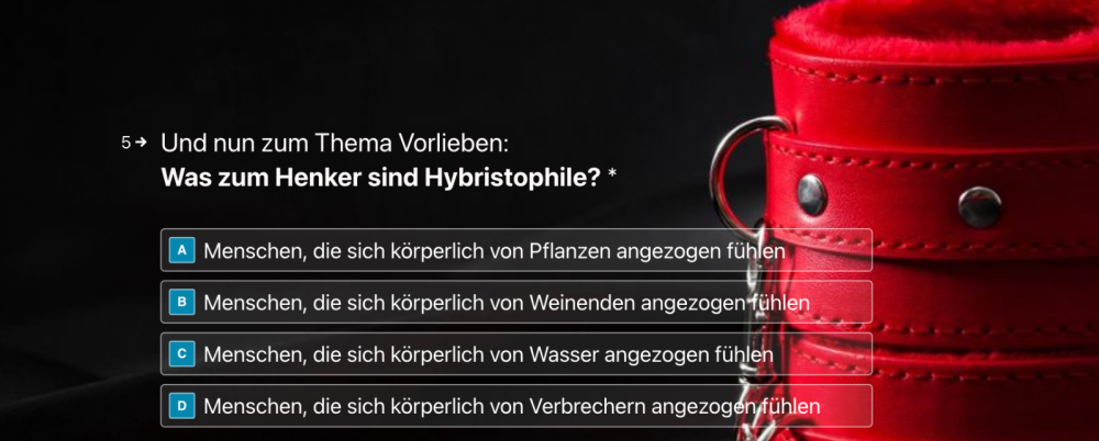 BDSM-Quiz-Frage-05.png