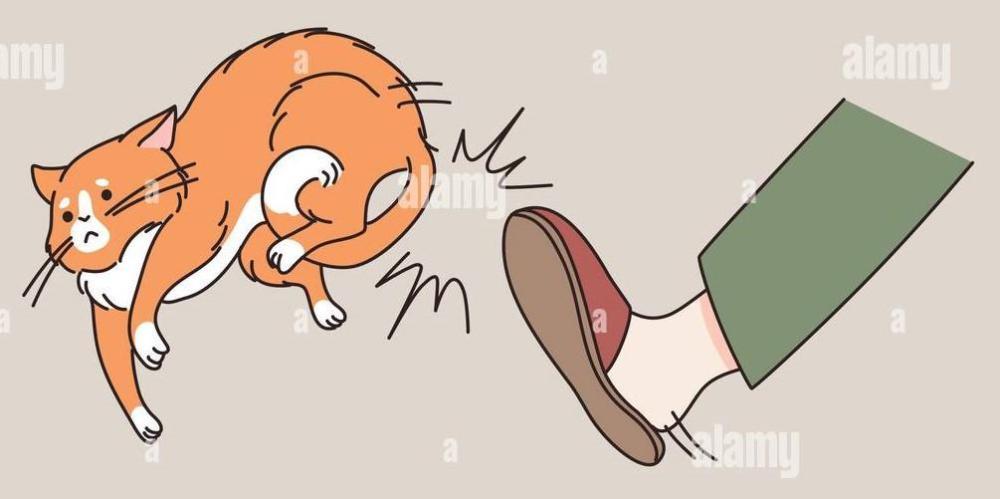 aggressiver-katzenbesitzer-tritt-haustier-von-zu-hause-aus-2hp87xp.jpg
