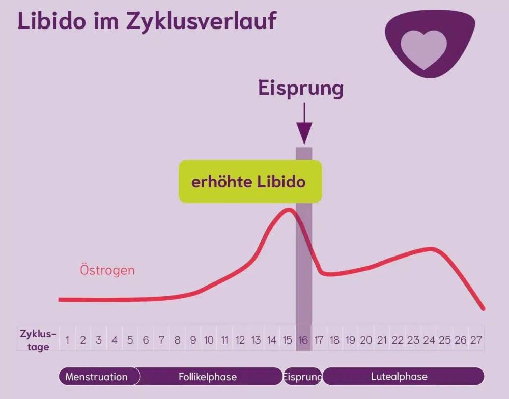 libido-oestrogen-veraenderungen-zyklus.jpg