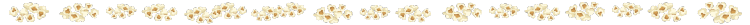 poppen-popcorn.png