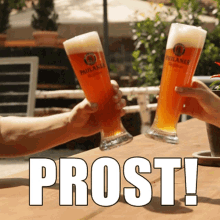 prost.gif.43986d7435c0c2a97888968430dfacca.gif