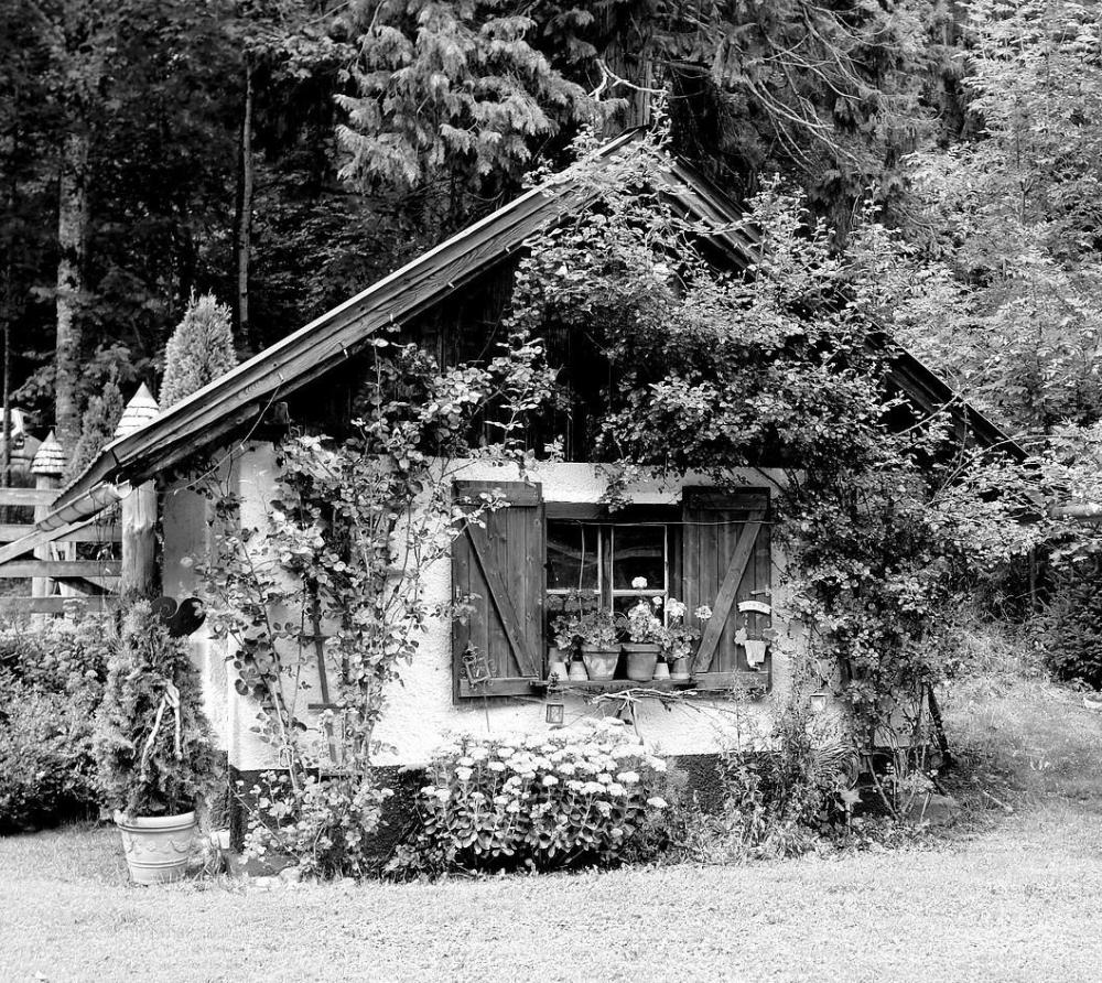 garden-shed-1341431_1280~2.jpg