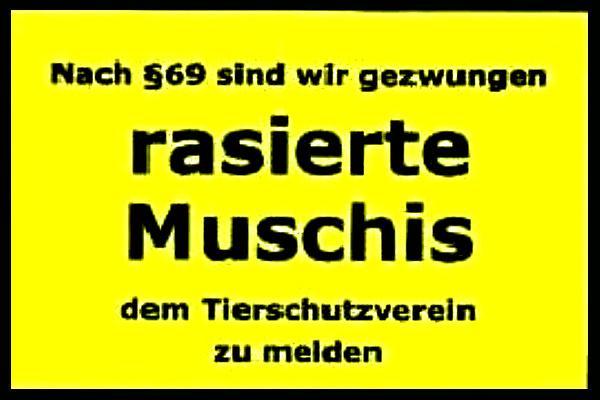 RasierteMuschis.jpg.ab47bde501394fc48e01c7d6a8eb1590.jpg