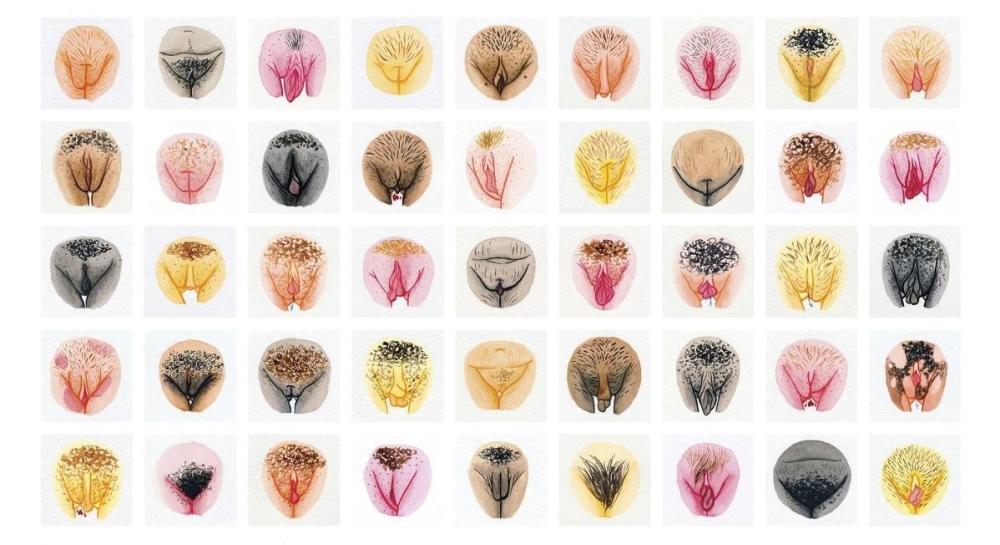 Screenshot_20250407_005547_Samsung Internet.jpg