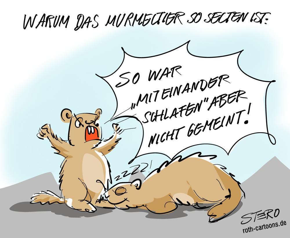 MURMELTIER-miteinander-schlafen-sex.jpg.a94be43a9fe0dc9cca3d5b6ba7016a17.jpg