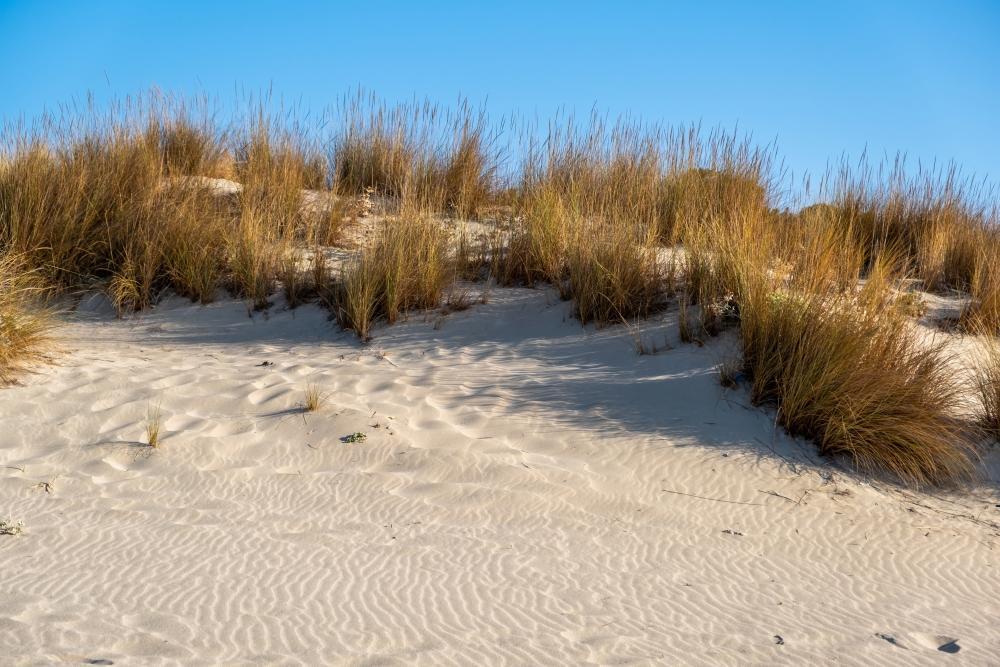 schoensten_Straende_fuer_deinen_Fkk_urlaub_deutschland_Sand_Duenen.JPG