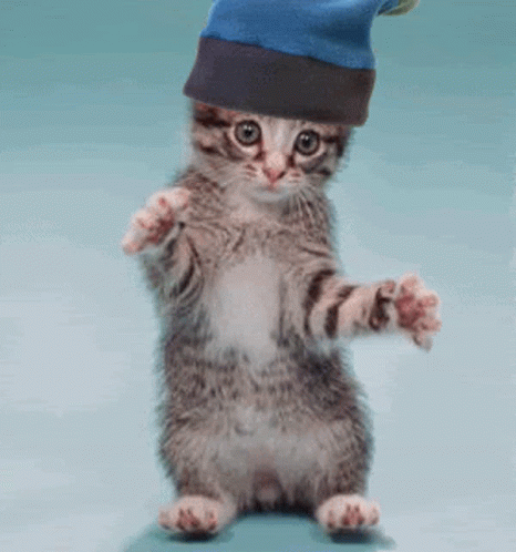 image.gif.c11b76b3aef3ba31fabe589952ca3d91.gif