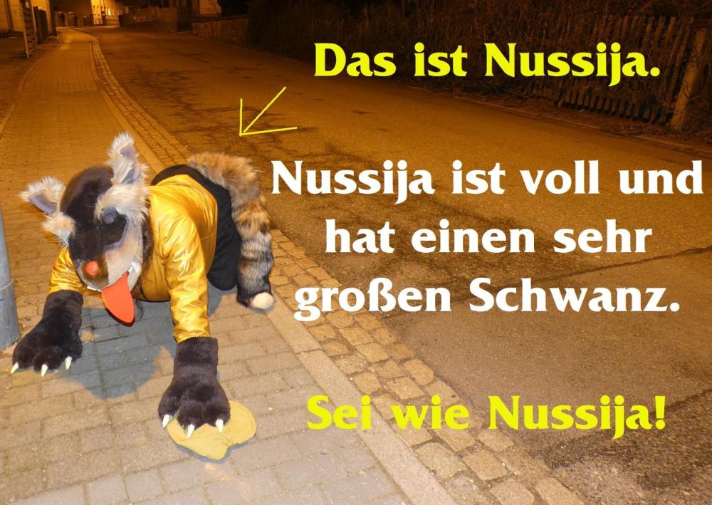 NussijaKarteNeu33.jpg